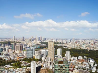 The Ritz-Carlton, Tokyo – foto 4