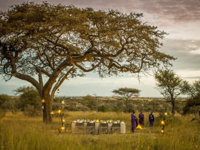 Four Seasons Safari Lodge Serengeti – foto 5