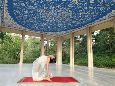 Ananda In The Himalayas – foto 4