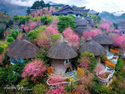 Garrya Mu Cang Chai – foto 5