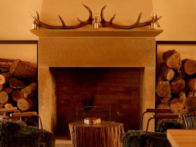 Singureni Manor Equestrian Retreat – foto 3