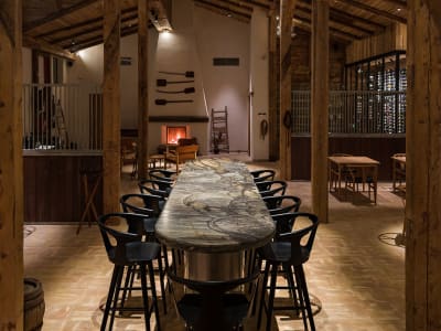 Singureni Manor Equestrian Retreat – foto 4