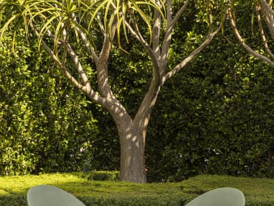The Sun Rose West Hollywood – foto 5