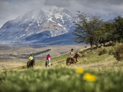 Awasi Patagonia - Relais & Chateaux – foto 3
