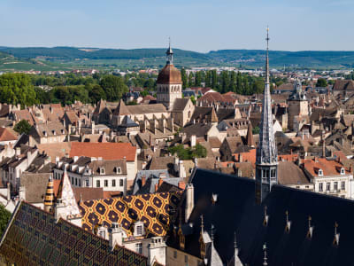 Château la Commaraine – foto 4