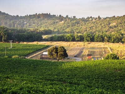 SingleThread Farm - Restaurant - Inn – foto 4
