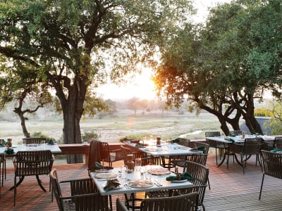 Mala Mala Game Reserve – foto 4