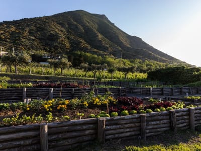 Capofaro Locanda & Malvasia – foto 5