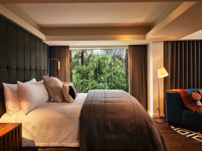 Campos Polanco – foto 4