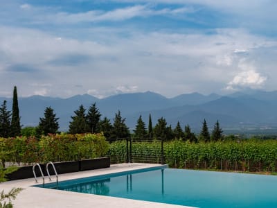 Vazisubani Estate – foto 5