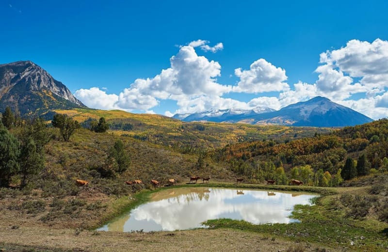 The Town, Colorado