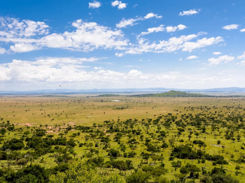 Singita - Singita Grumeti