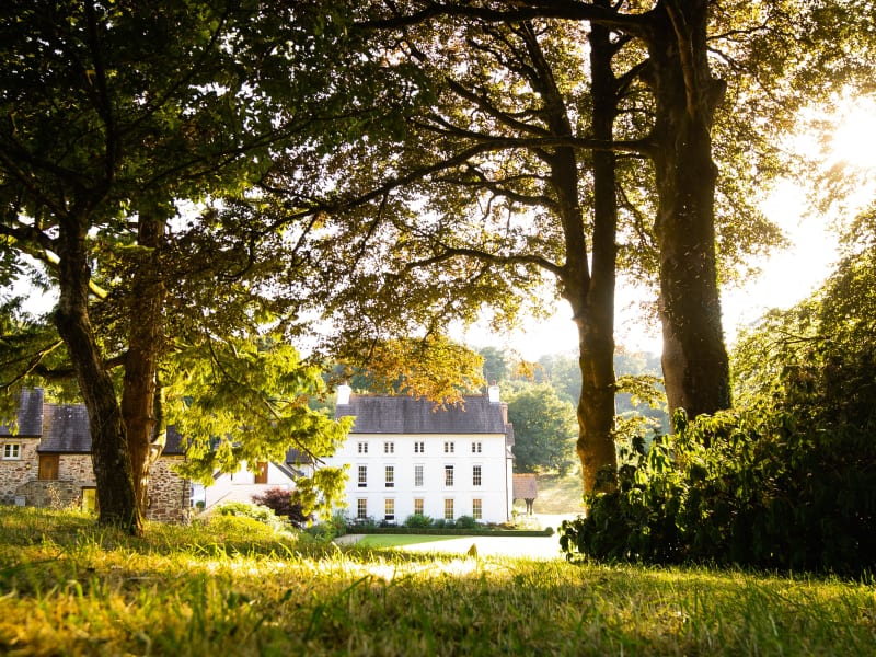 Grove of Narberth