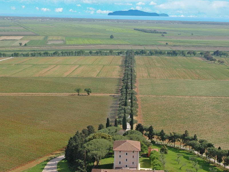 L'Andana