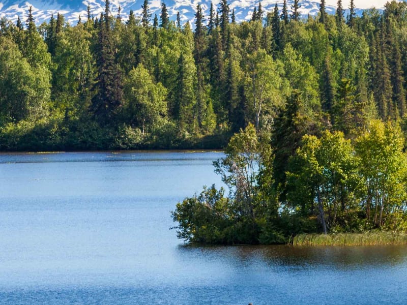 Eleven Winterlake Lodge