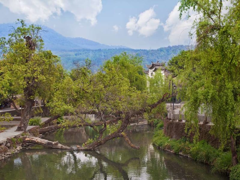 Banyan Tree Tengchong