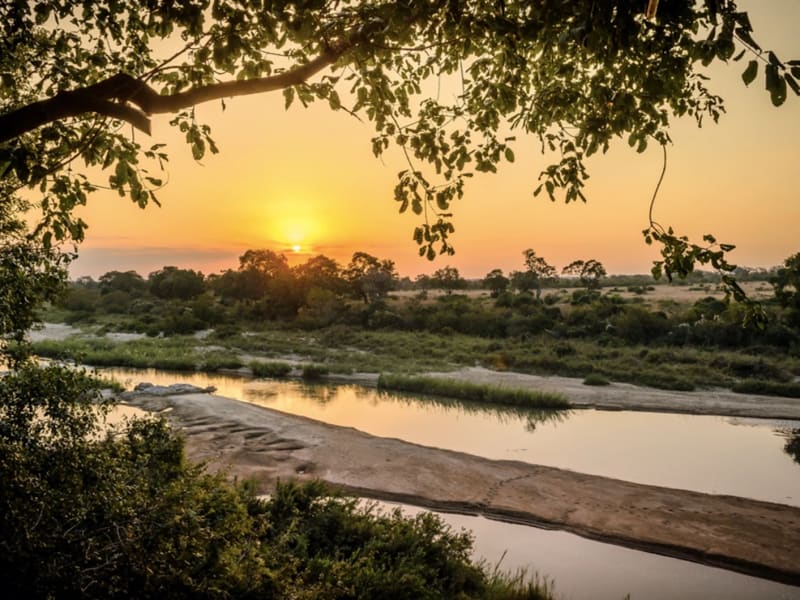 Singita - Singita Sabi Sand