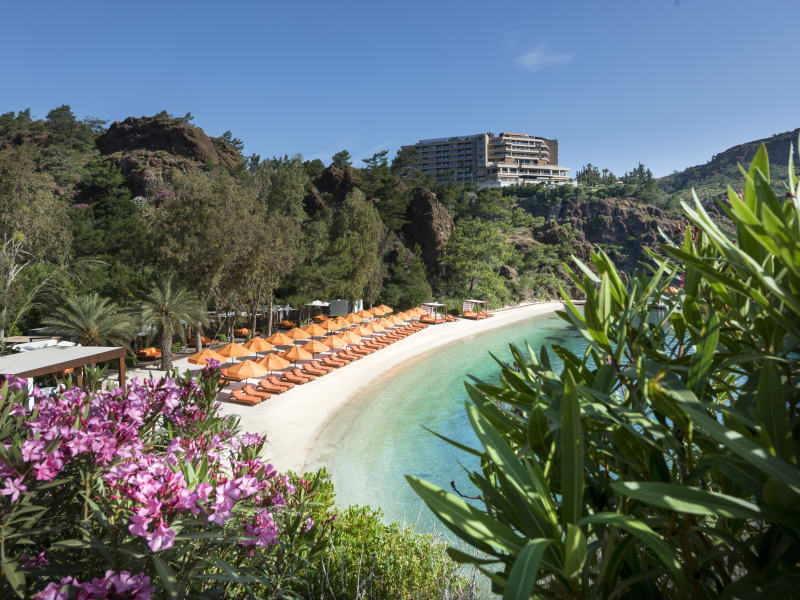 D Maris Bay