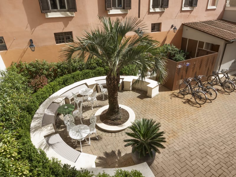 Palm Suite