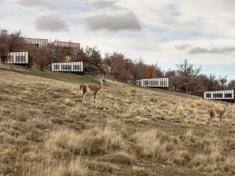Awasi Patagonia - Relais & Chateaux
