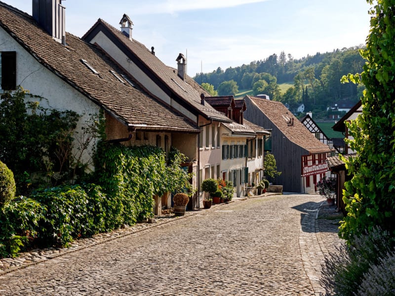 Hotel Restaurant Krone Regensberg