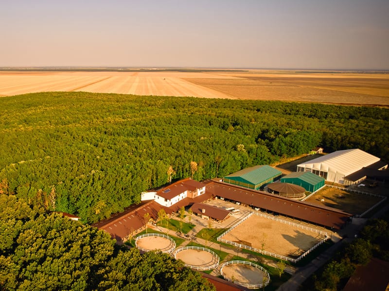 Singureni Manor Equestrian Retreat