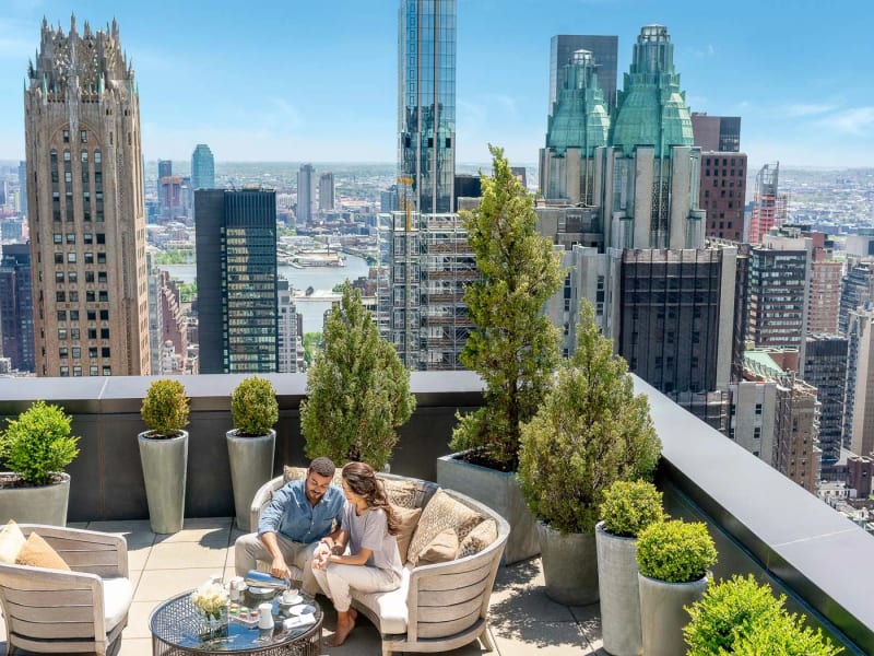 The Towers at Lotte New York Palace