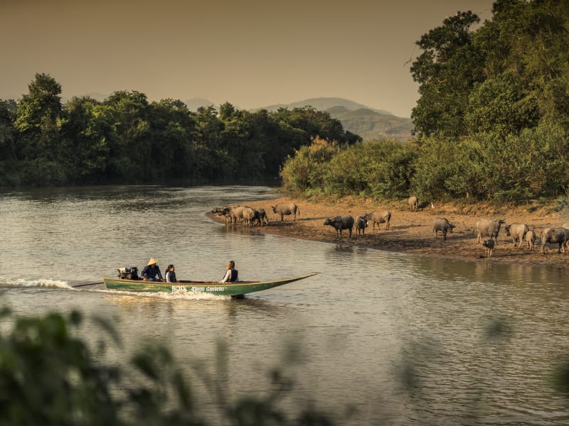 Four Seasons Tented Camp Golden Triangle