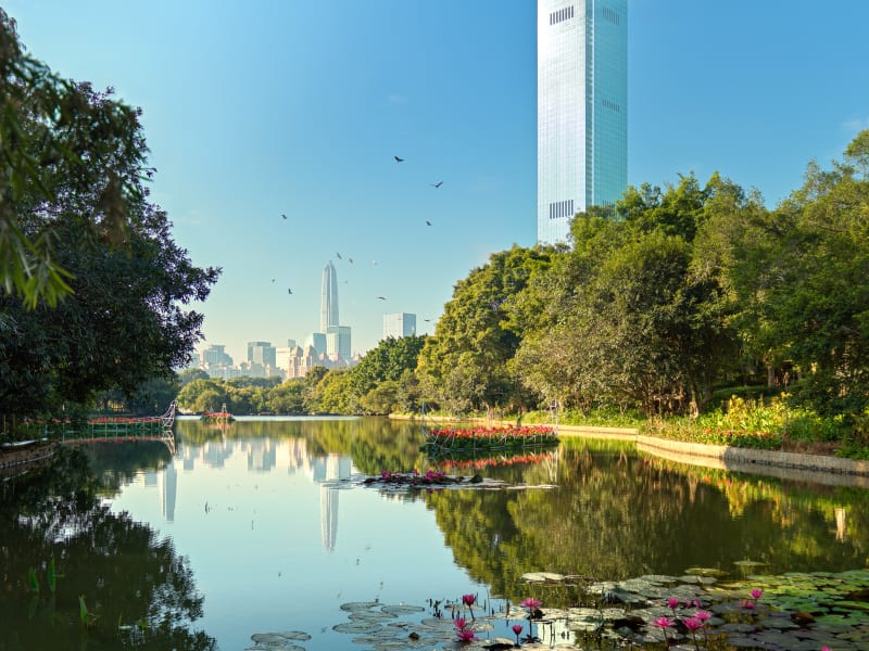 Mandarin Oriental, Shenzhen