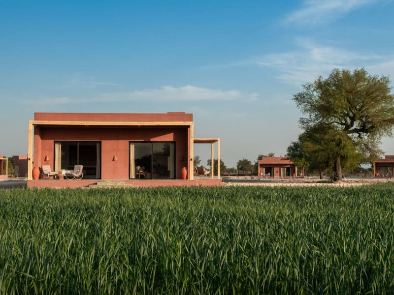 Mharo Khet