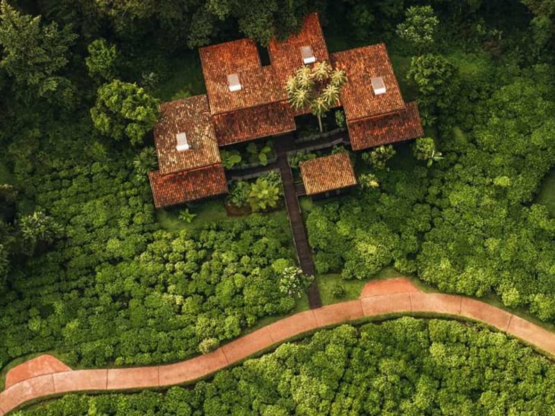 One&Only Nyungwe House