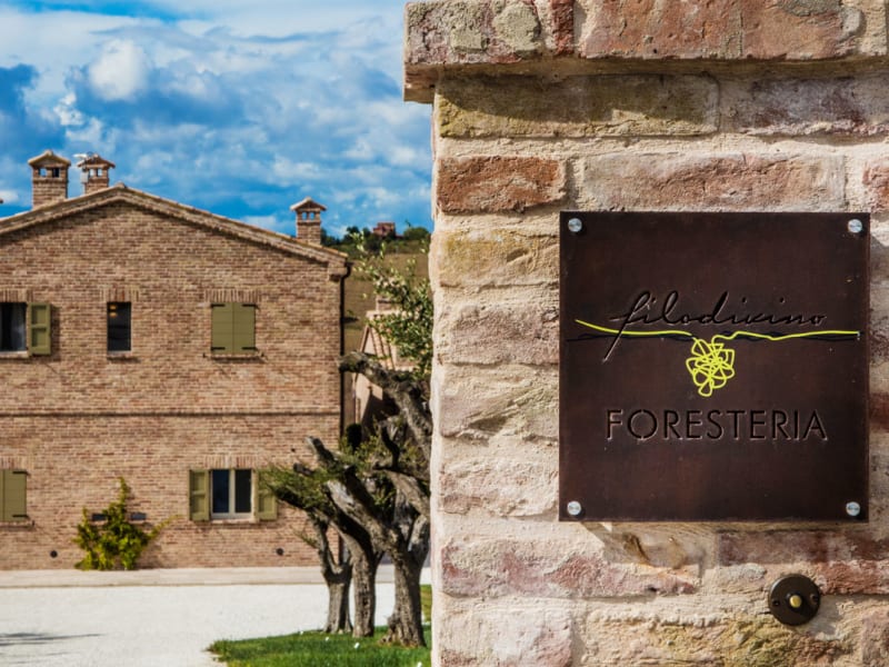 Filodivino Wine Resort & Spa