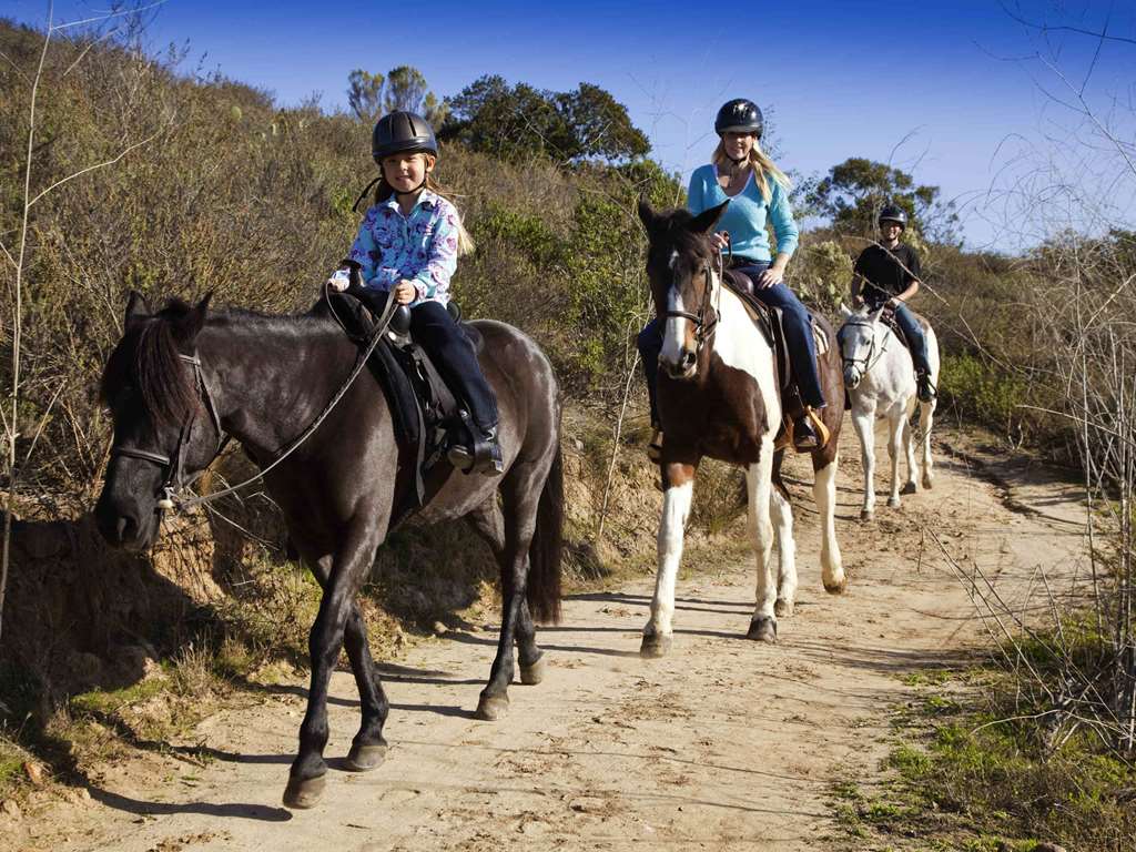 Two riders on horseback on a canyon trail