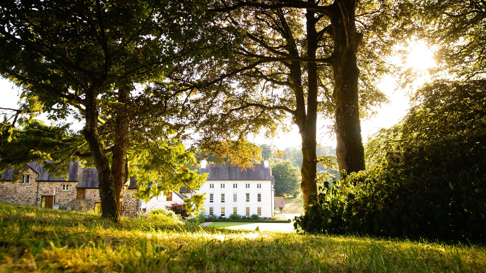 Grove of Narberth – foto 1