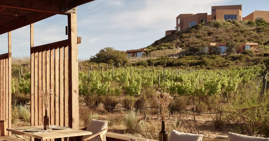 Banyan Tree Veya Valle de Guadalupe – foto 1