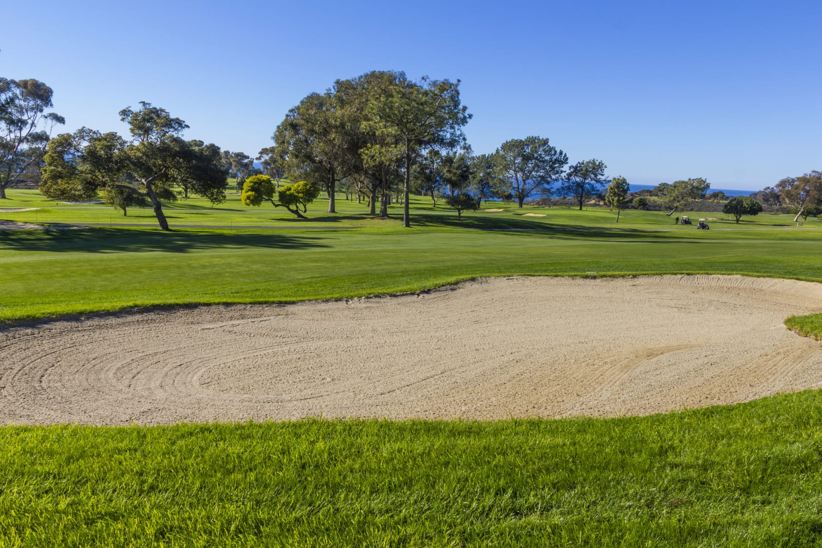 Golf course green and bunker with a line of trees behind