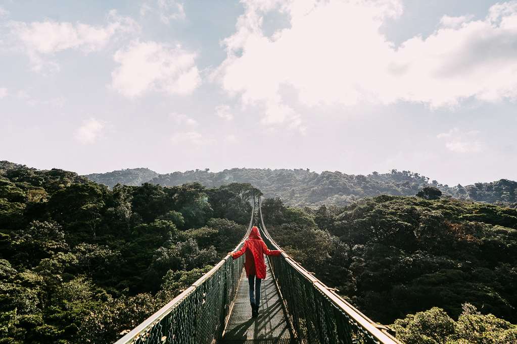 Senda Monteverde Hotel Member of the Cayuga Collection – foto 1