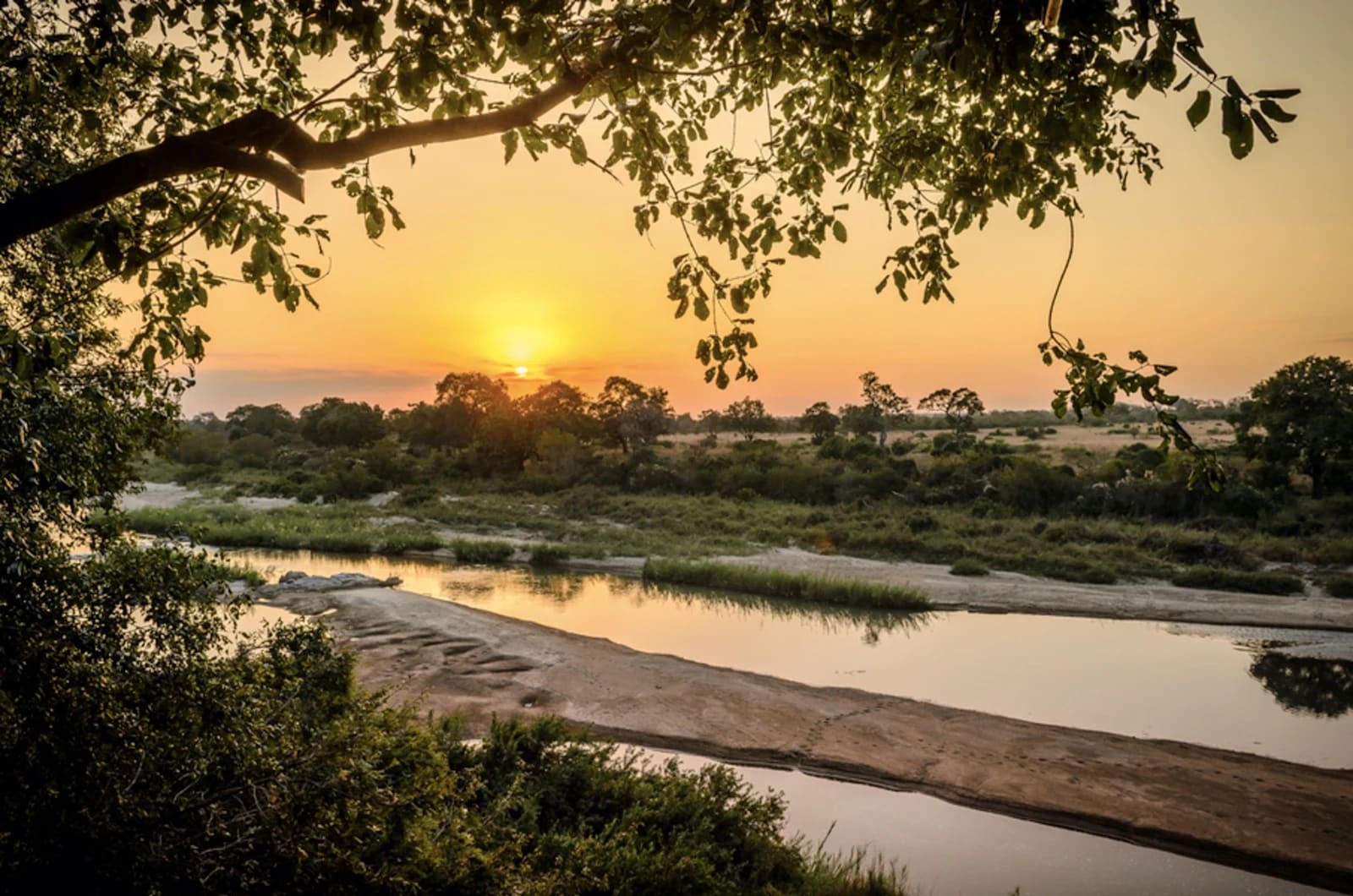 Singita - Singita Sabi Sand – foto 1