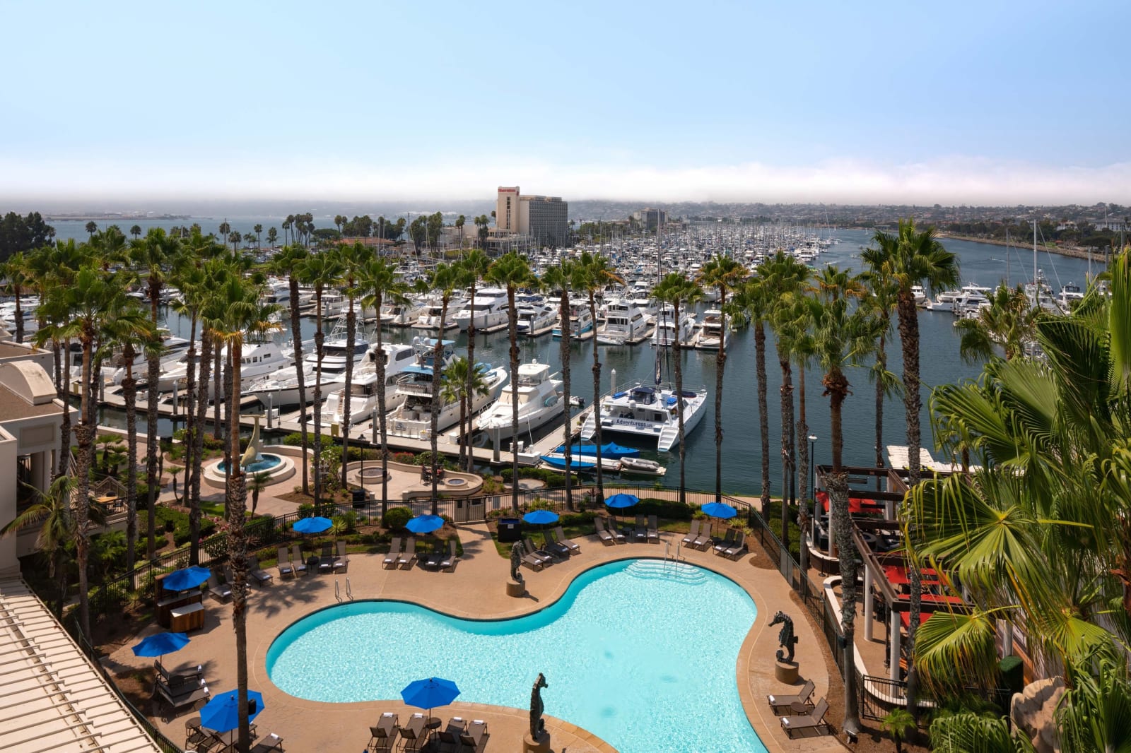 Swimming pool ringed by palms with the marina and hotel tower behind