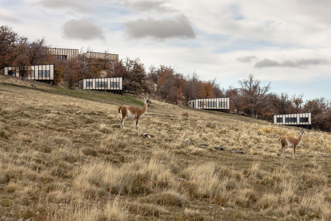 Awasi Patagonia - Relais & Chateaux – foto 1