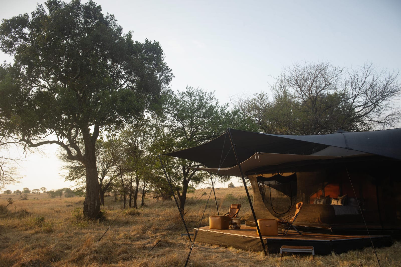 Siringit Migration Camp – foto 1