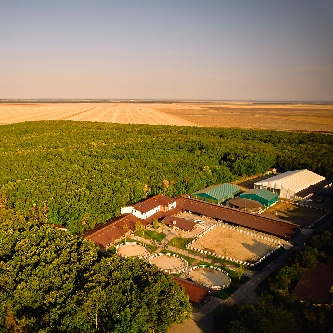 Singureni Manor Equestrian Retreat – foto 1