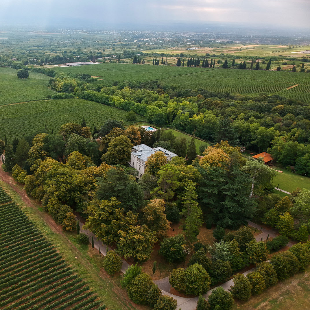 Vazisubani Estate – foto 1