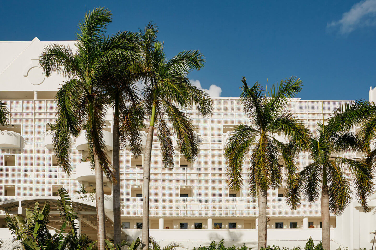 Palm Heights – foto 1