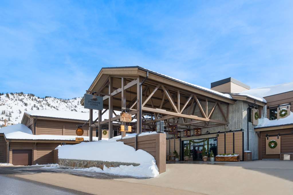 The Snowpine Lodge – foto 1