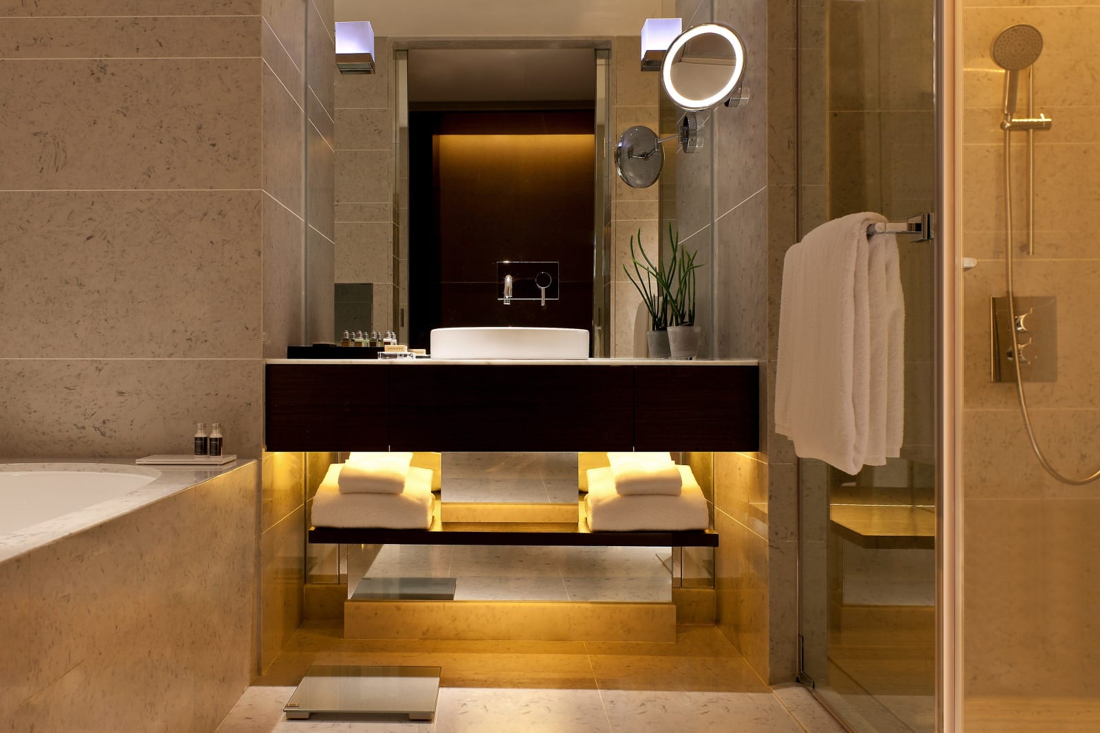 A Deluxe bathroom with separate tub and shower