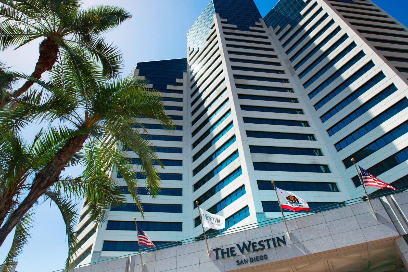 Looking up at a glass tower facade from street level with palm trees in the foreground