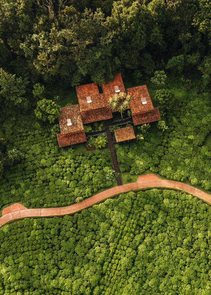 One&Only Nyungwe House – foto 1