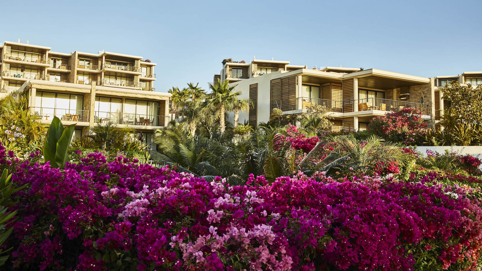 Chileno Bay Resort & Residences, Auberge Collection – foto 1