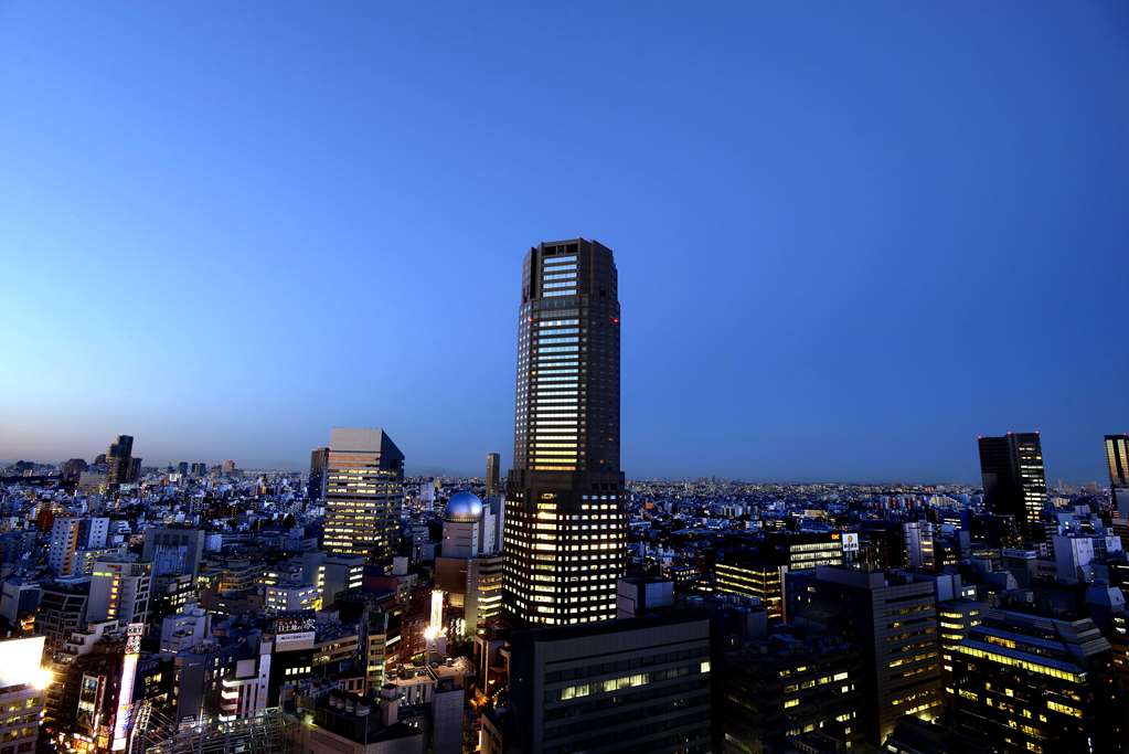 Cerulean Tower Tokyu Hotel – foto 1